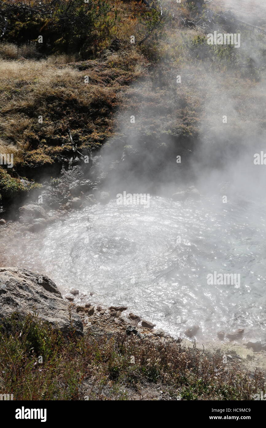 Artist Paint Pots geothermal area, Yellowstone National Park, WY Stock