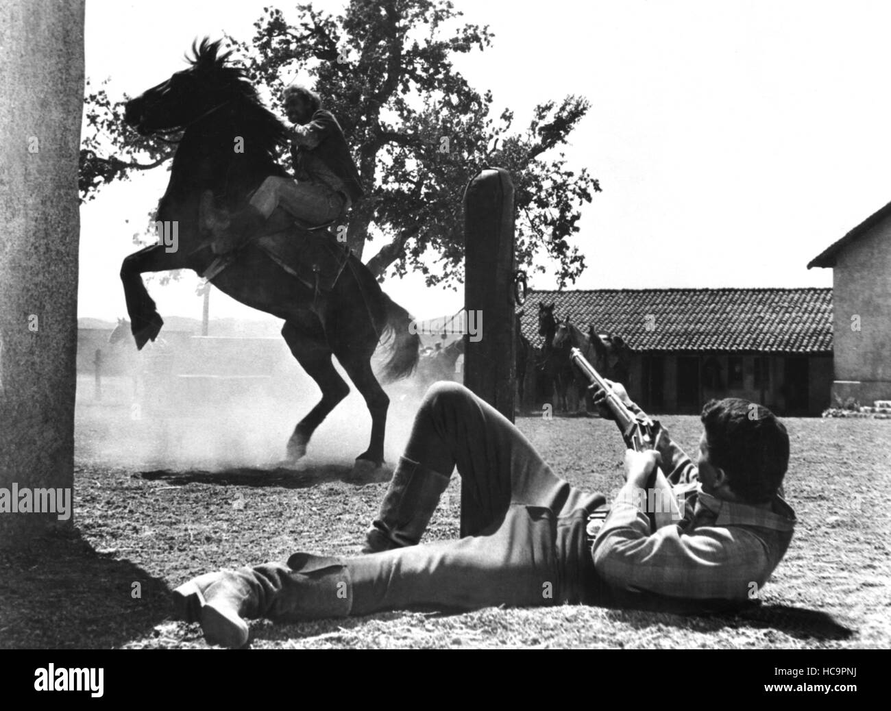 THE YOUNG LAND, from left: Dennis Hopper, Patrick Wayne, 1959 Stock ...