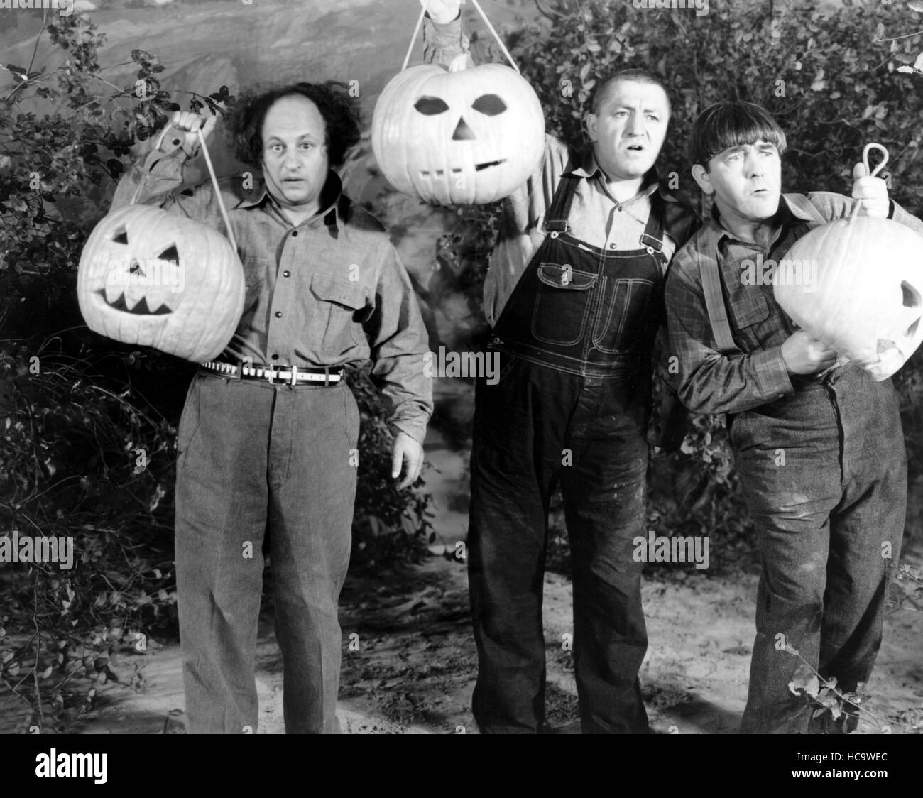 THE YOKE'S ON ME, Larry Fine, Curly Howard, Moe Howard (The Three