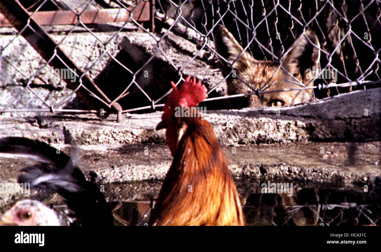 THIS DEAR MONTH OF AUGUST, (aka AQUELE QUERIDO MES DE AGOSTO, aka OUR