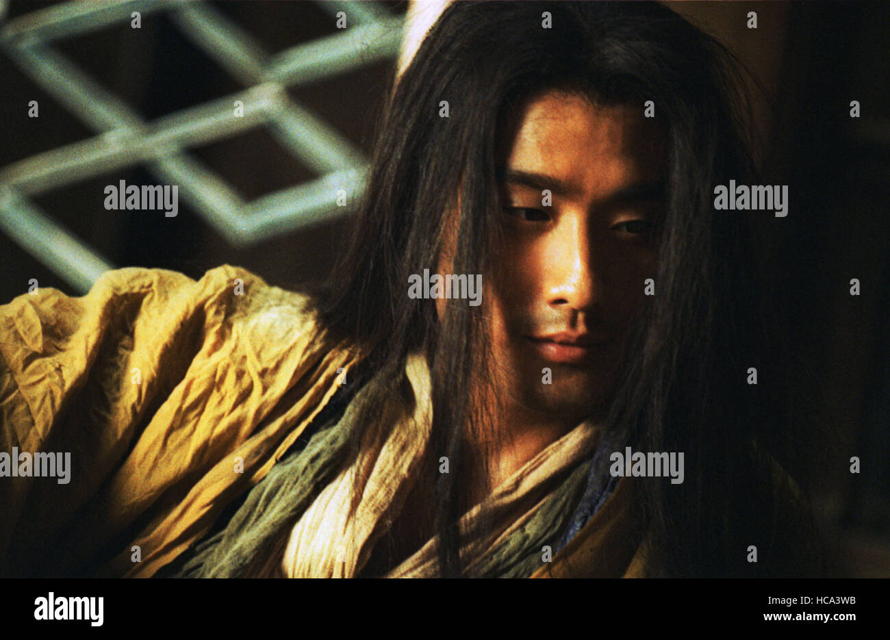 ASHES OF TIME REDUX, Tony LEUNG Ka Fai, 2008. ©Sony Pictures Classics ...