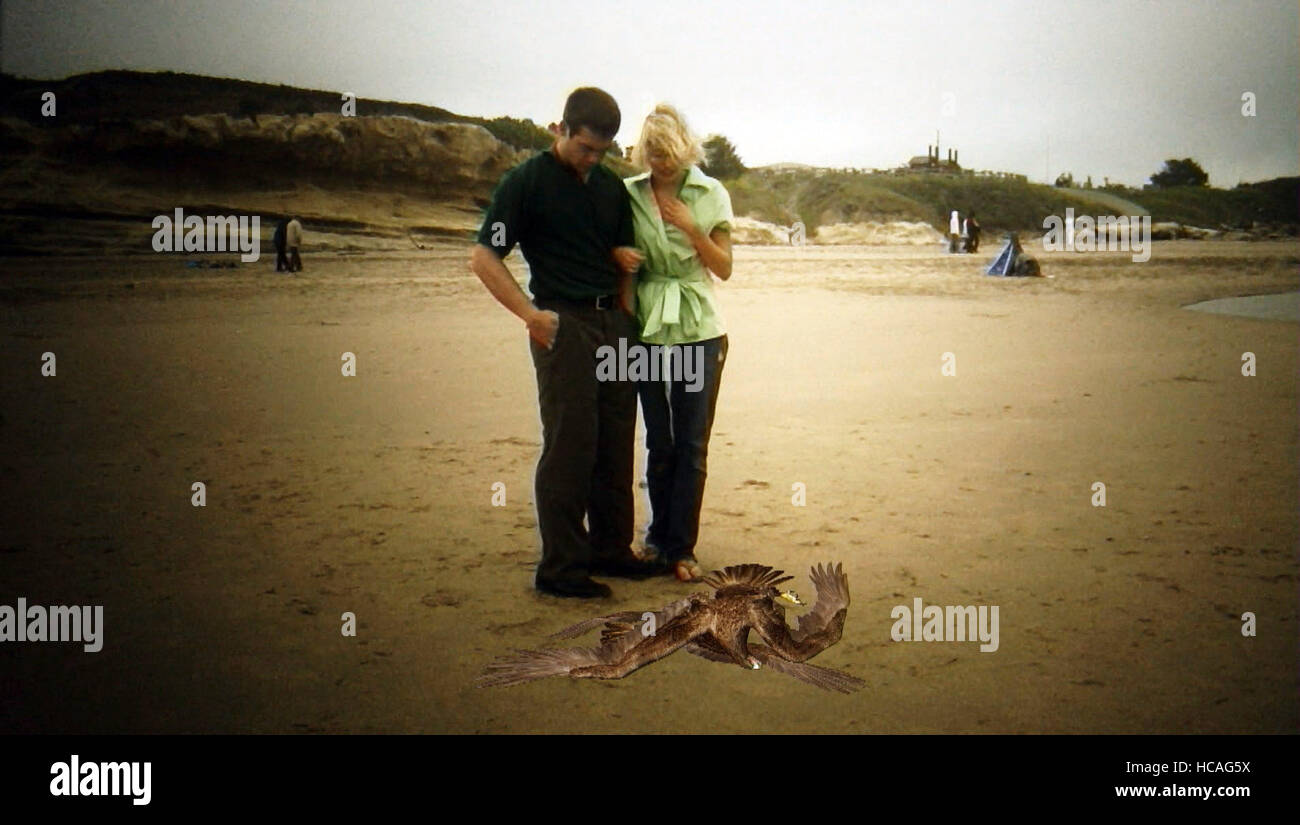 BIRDEMIC: SHOCK AND TERROR, from left: Alan Bagh, Whitney Moore, 2008 ...