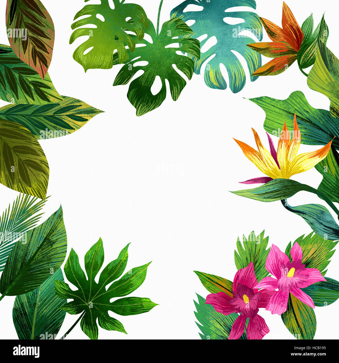 Tropical flowers and green leaves Stock Photo - Alamy