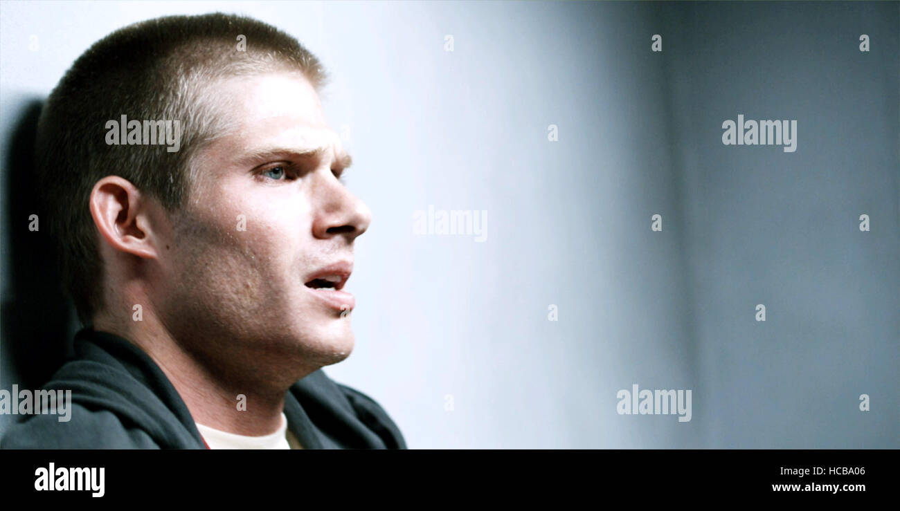 BUTTERFLY EFFECT REVELATION, (aka THE BUTTERFLY EFFECT 3 REVELATIONS