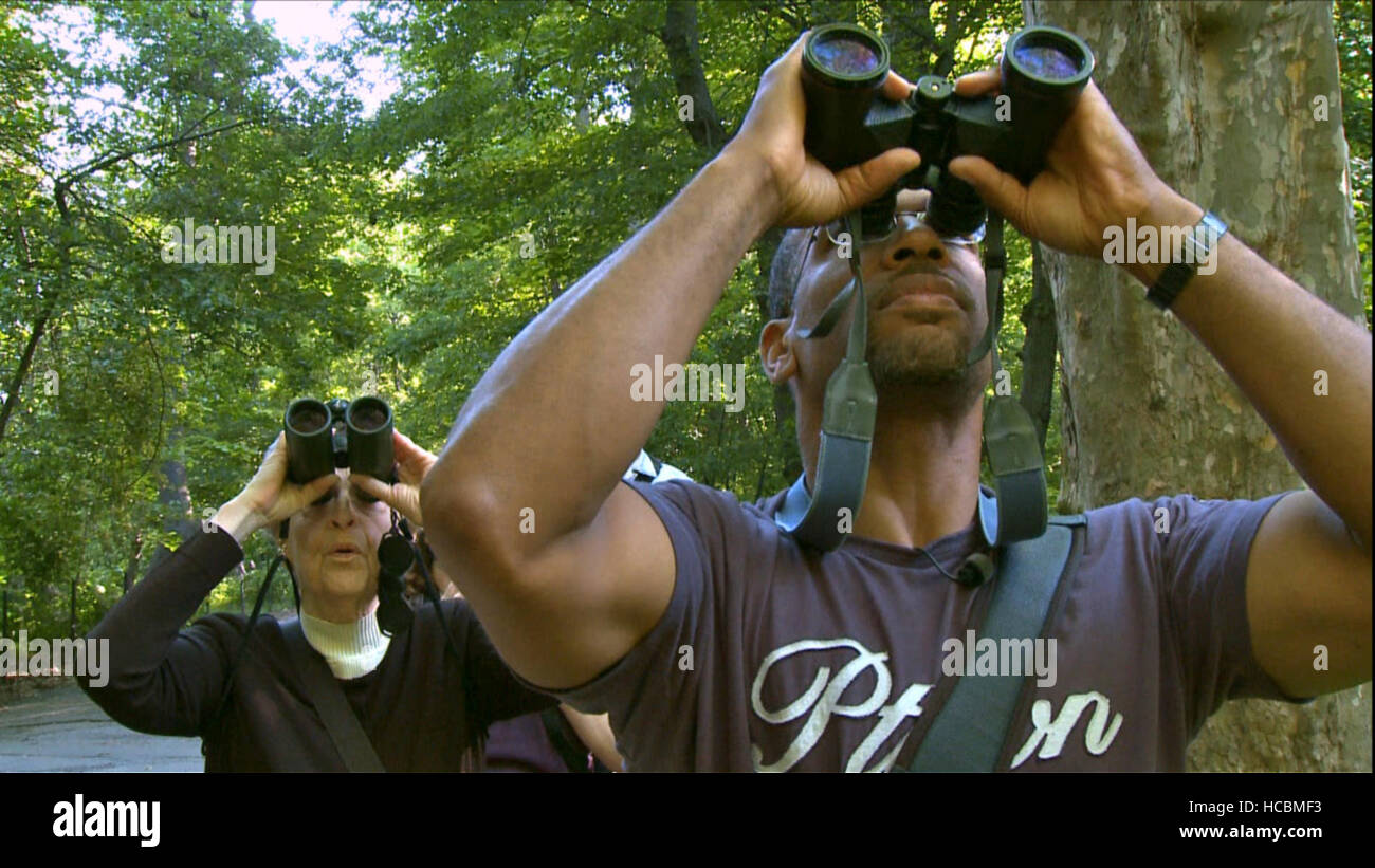 BIRDERS THE CENTRAL PARK EFFECT, Chris Cooper, 2012. ©Music Box Films