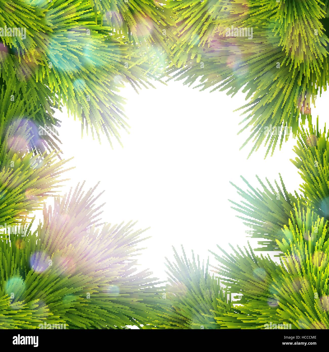 Frame of tree branches. EPS 10 Stock Vector