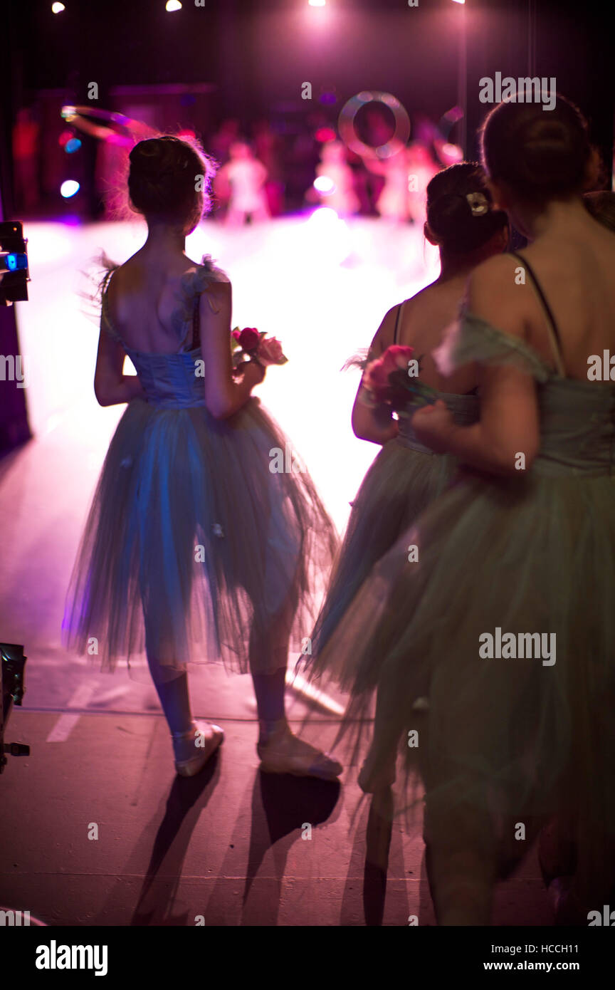 GETTING TO THE NUTCRACKER, 2013. ©Java Films/courtesy Everett