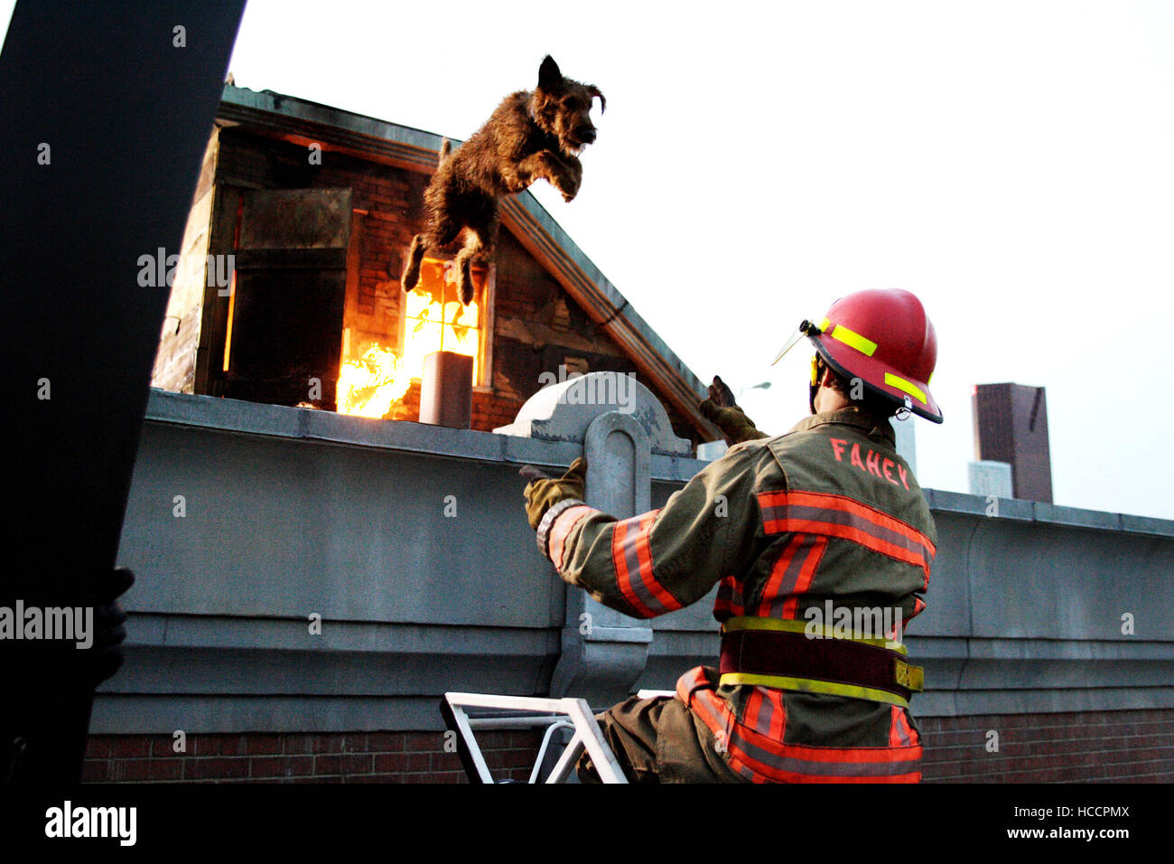 FIREHOUSE DOG, Rexxx the dog, Bruce Greenwood, 2007. TM and Copyright