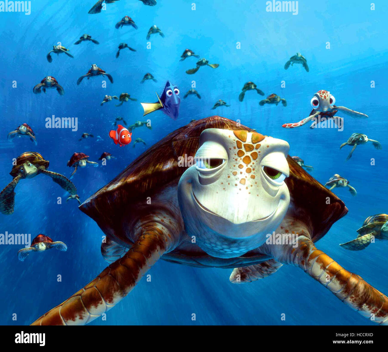 Squirt Finding Nemo