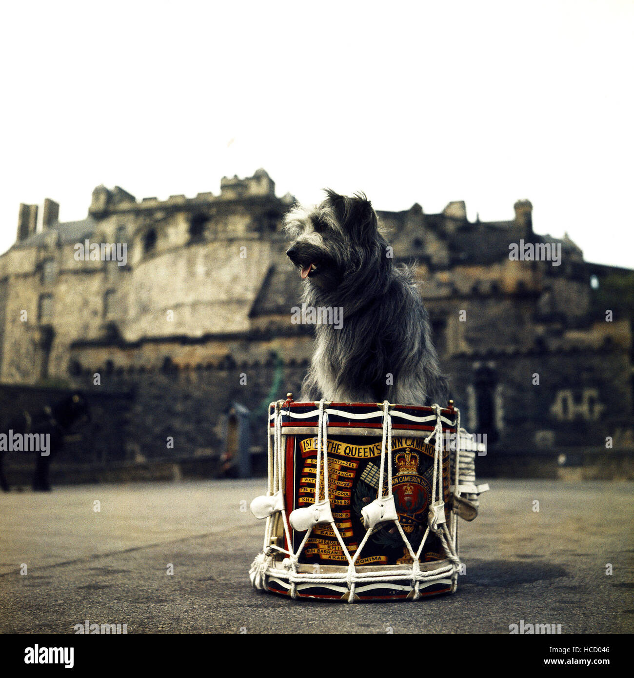 Greyfriars Bobby 1961 Stock Photo Alamy