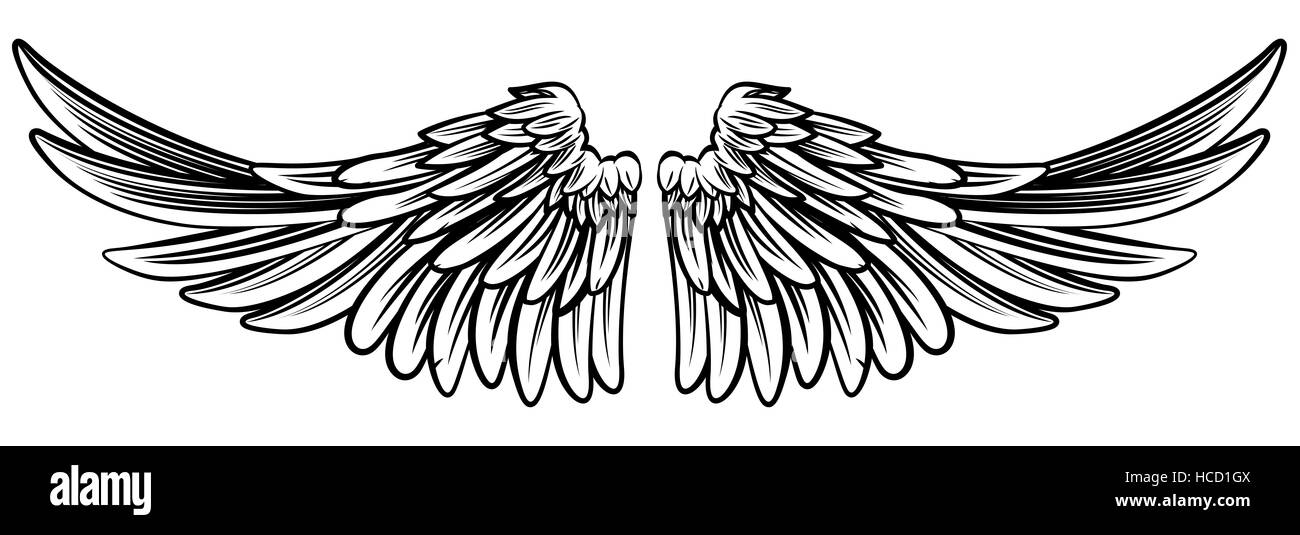 A pair set of spread out  eagle bird or angel wings Stock Photo