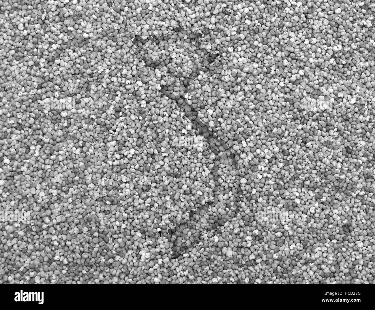 Map of Vietnam on poppy seeds Stock Photo Alamy