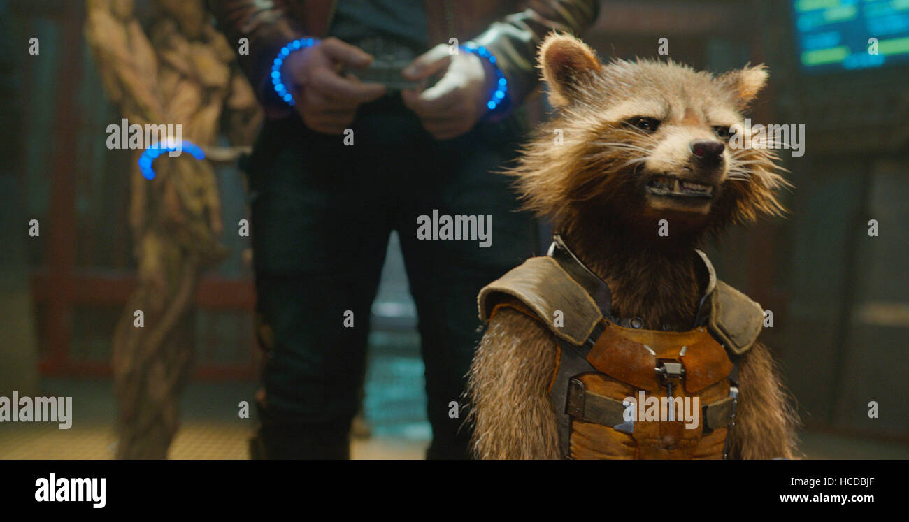 GUARDIANS OF THE GALAXY, Rocket (voice Bradley Cooper), 2014. ©Walt