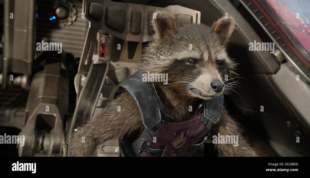 GUARDIANS OF THE GALAXY, Rocket (voice Bradley Cooper), 2014. ©Walt