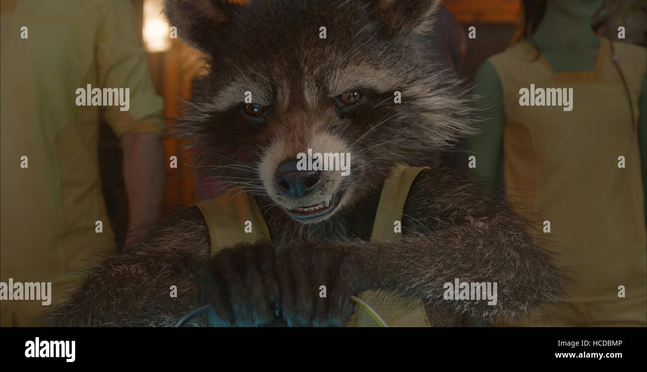 GUARDIANS OF THE GALAXY, Rocket (voice: Bradley Cooper), 2014. ©Walt ...