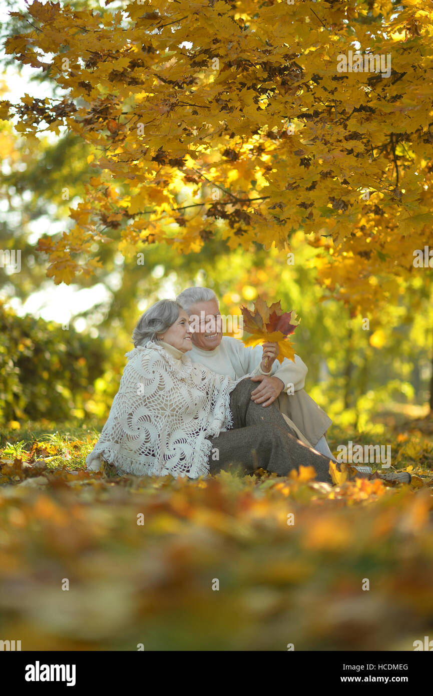 Senior couple in autumn park Stock Photo - Alamy
