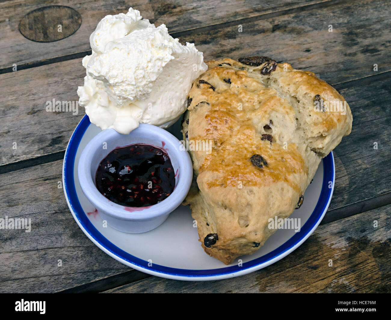 Large fruit scone, with pot of jam and cream on wooden slatted table