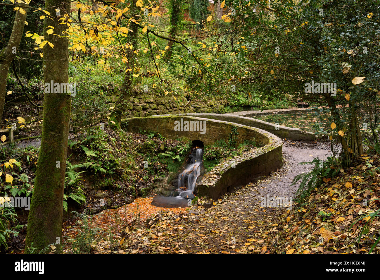 UK,Somerset,Yeovil,Yeovil Country Park,Ninesprings,Waterfall and Bridge