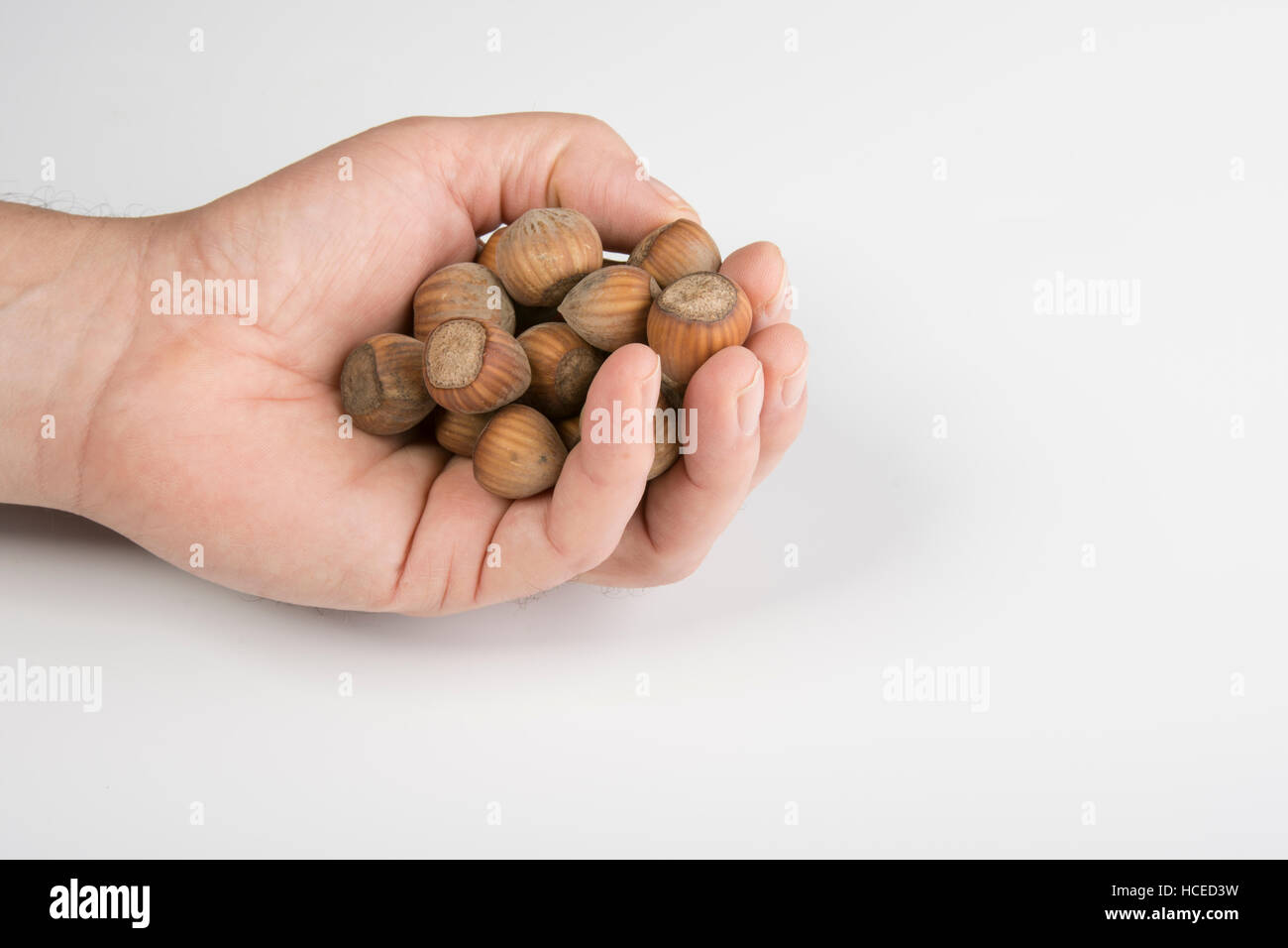 the nuts on the hand Stock Photo - Alamy