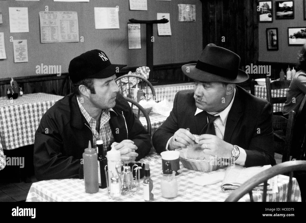 HIDE IN PLAIN SIGHT, James Caan, McMillan, 1980, (c) MGM