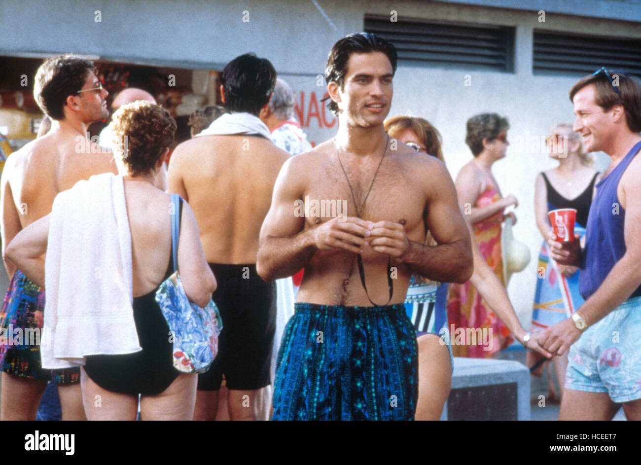 HOW TO MAKE AN AMERICAN QUILT Dermot Mulroney front 1995 how-to-make-an-american-quilt-dermot-mulroney-front-1995