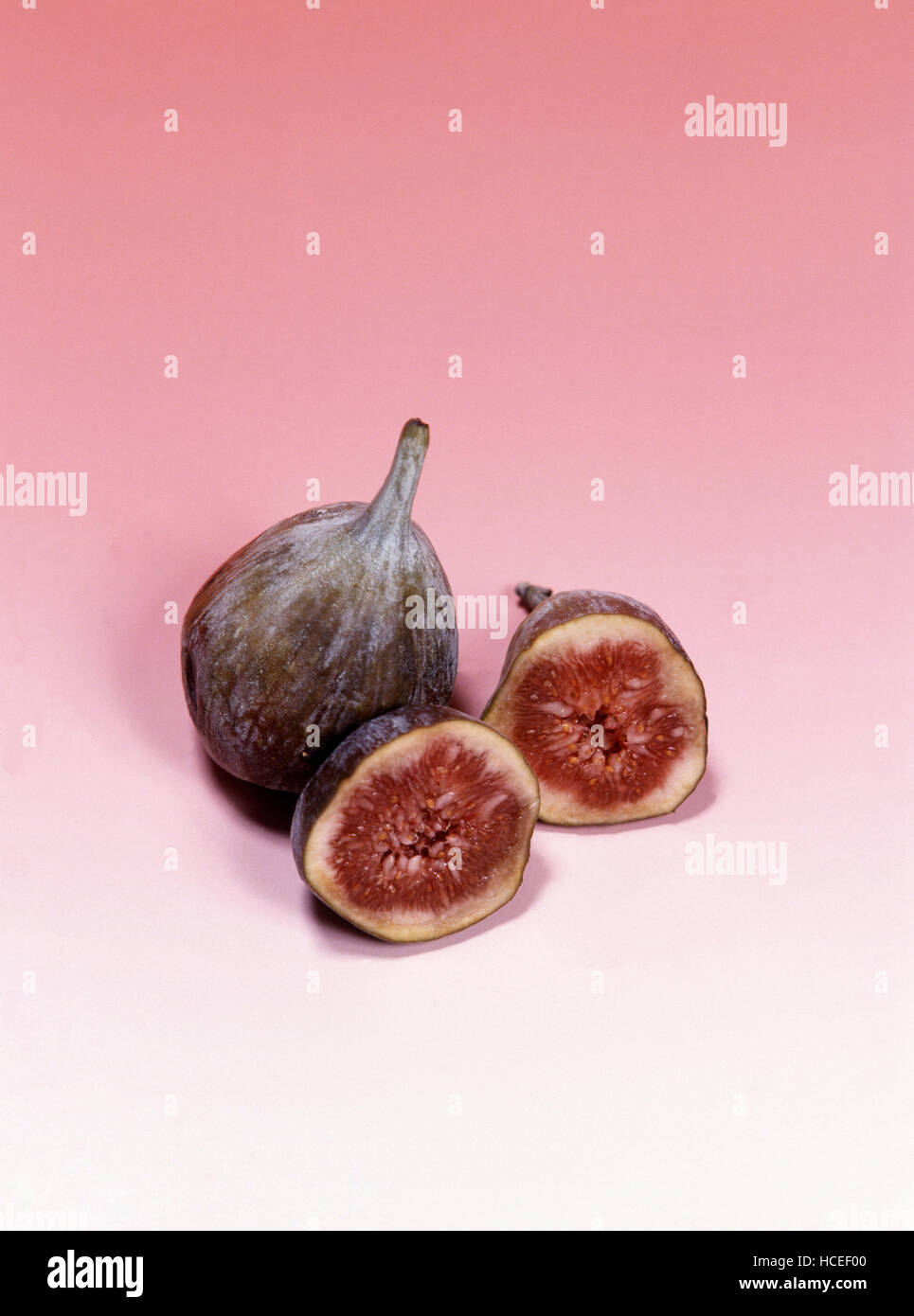 COMMON FIG FLOWERING PLANTS IN THE MULBERRY FAMILY Stock Photo