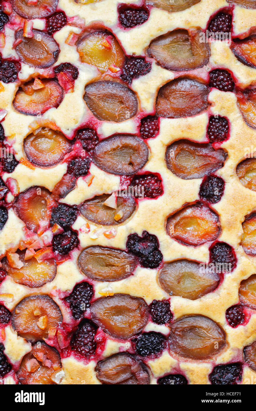 Fruit cake with plums and blackberries Stock Photo