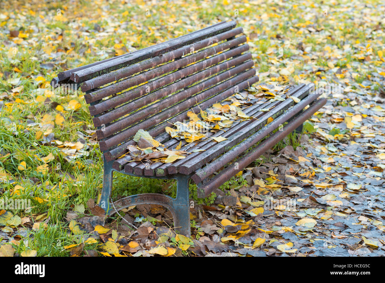 Bench in the autumn park Stock Photo - Alamy