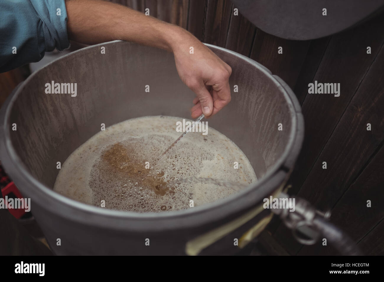 Man testing temperature of beer in wort while making beer Stock Photo