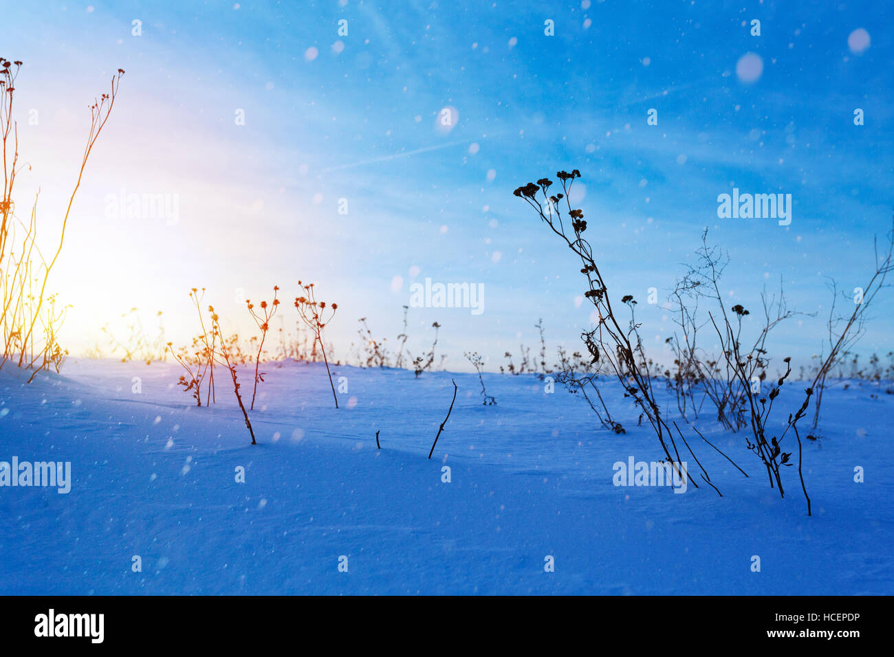 beautiful winter landscape; sunset on the snowy frozen field; ice and snow Stock Photo