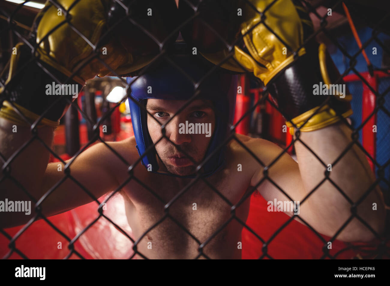 Boxer leaning on wire mesh fence Stock Photo