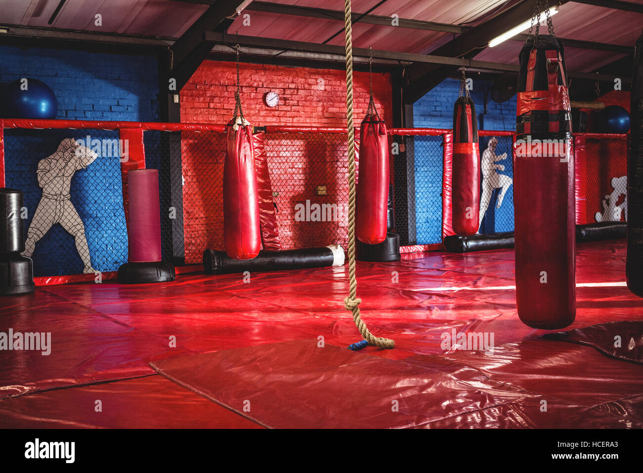 Punching bags and rope in fitness studio Stock Photo