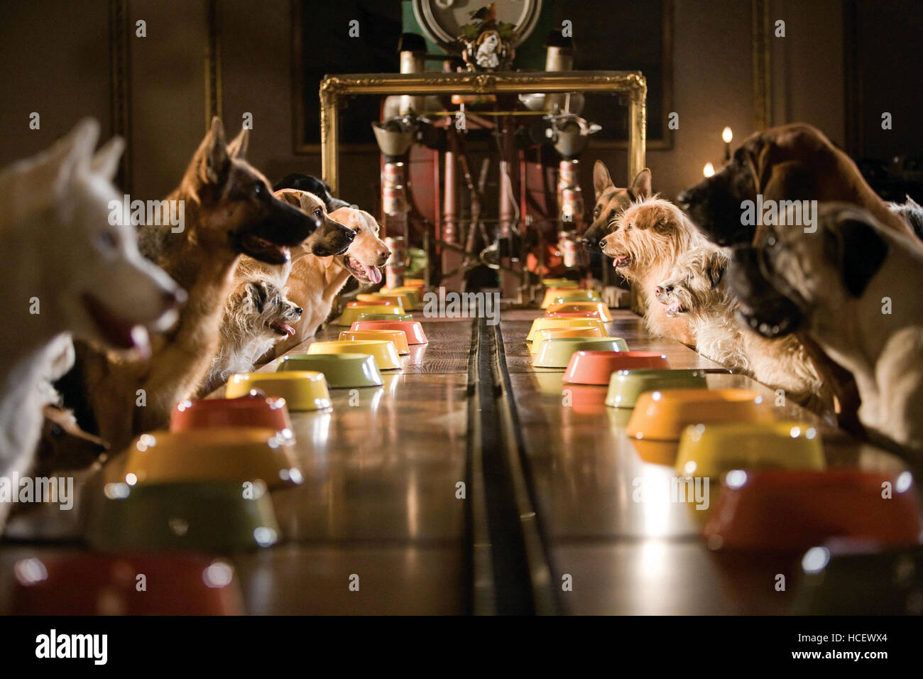 HOTEL FOR DOGS, 2008. ©DreamWorks/courtesy Everett Collection Stock Photo Alamy