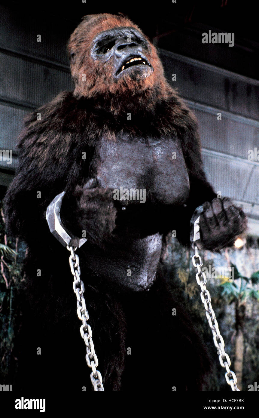 KING KONG LIVES, Lady Kong, 1986. ©DeLaurentiis Entertainment Group/courtesy Everett Collection