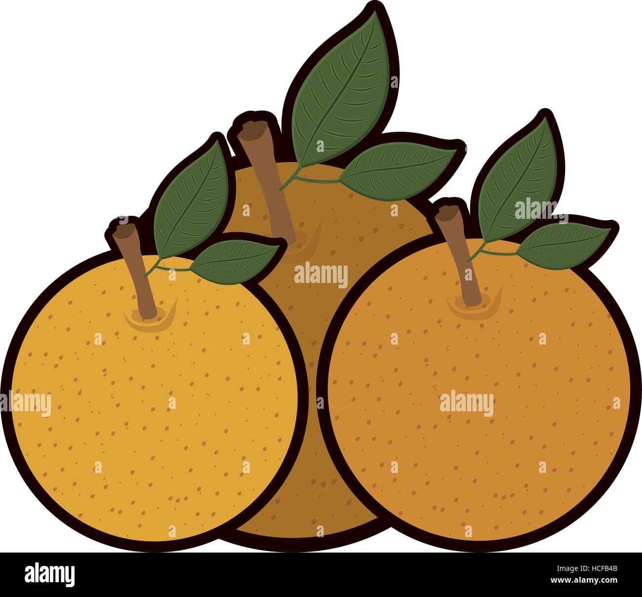Isolated orange fruit design Stock Vector Image & Art - Alamy