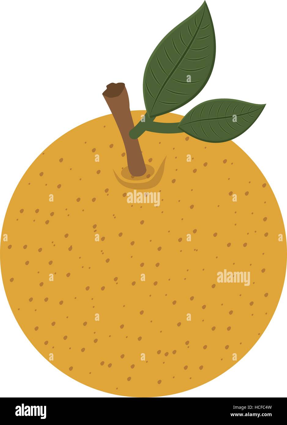 Isolated orange fruit design Stock Vector Image & Art - Alamy
