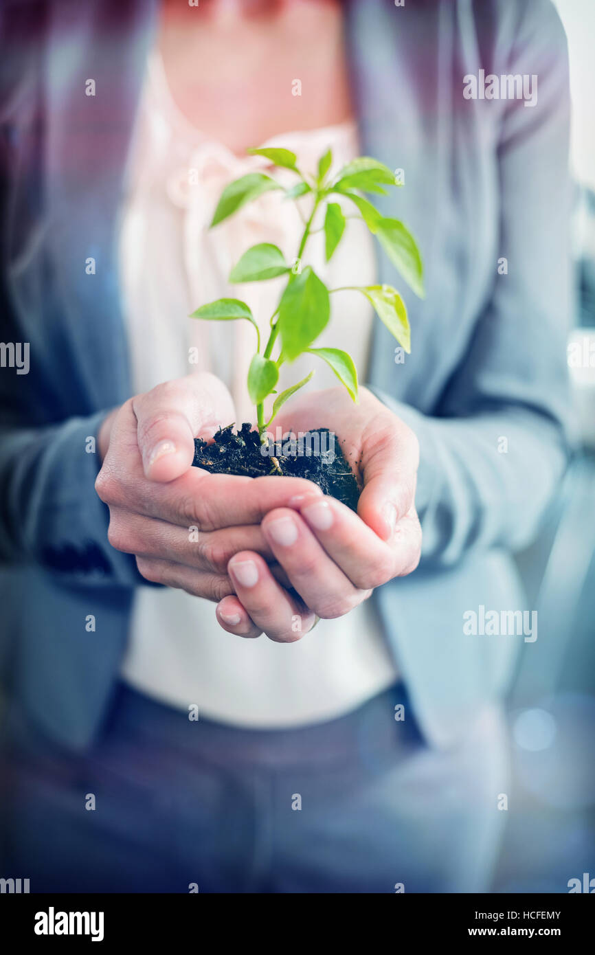 Midsection of businesswoman holding plant Stock Photo
