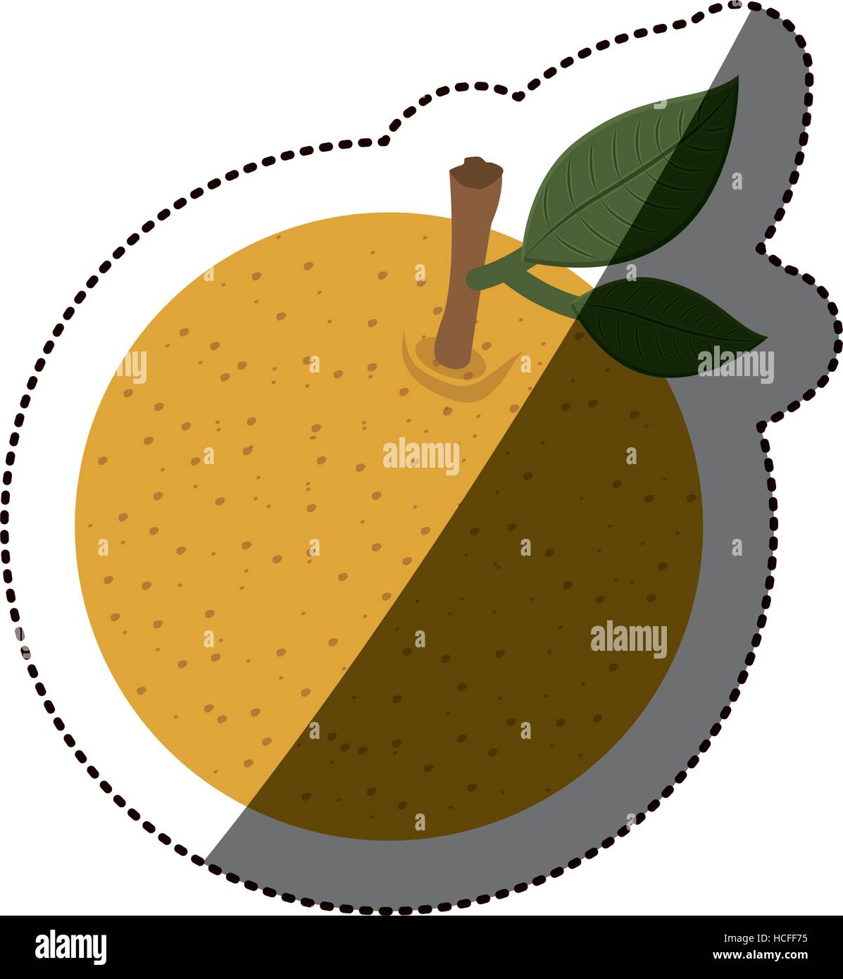 Isolated orange fruit design Stock Vector Image & Art - Alamy