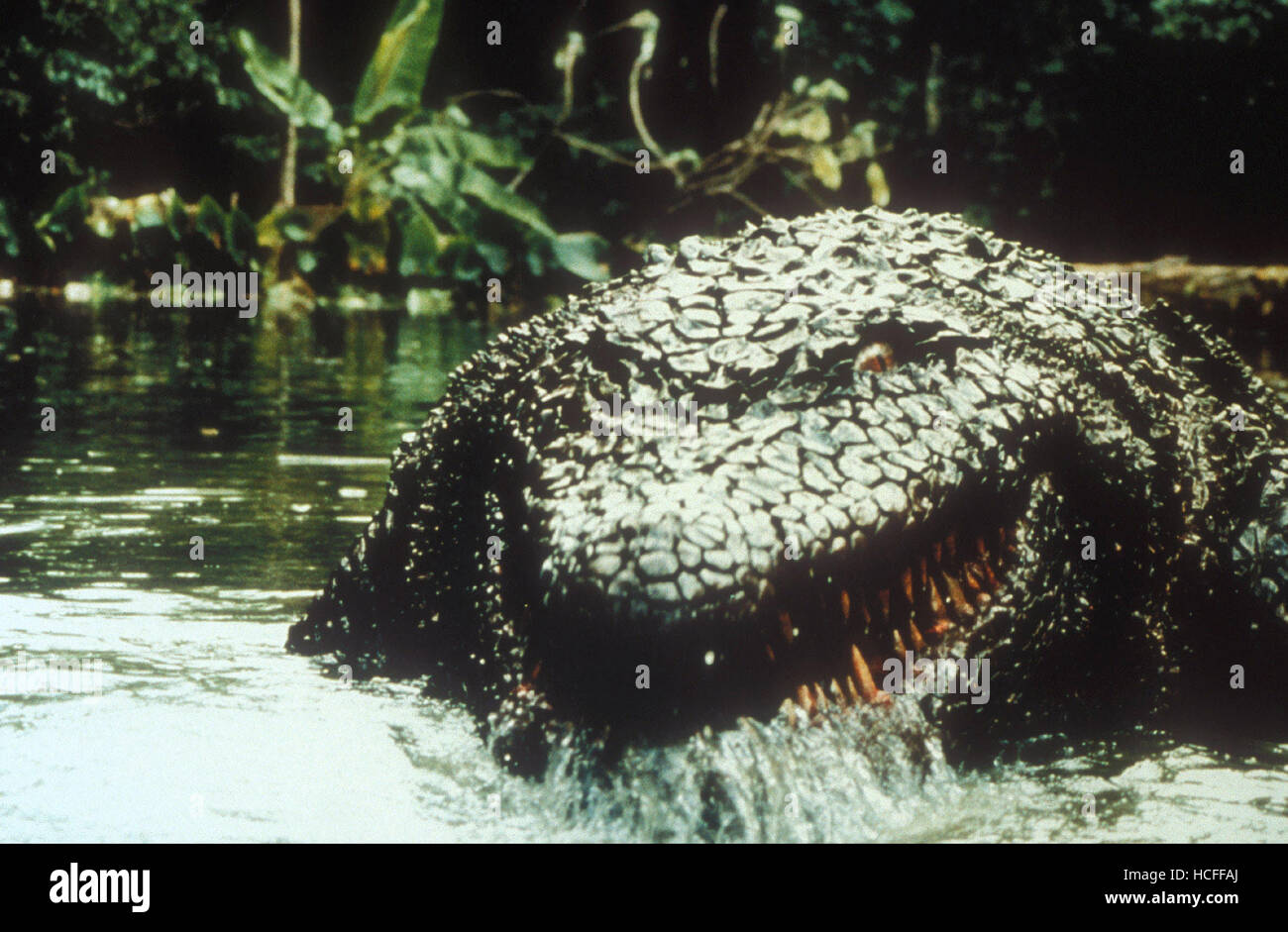 Killer Crocodile 2 (1990)