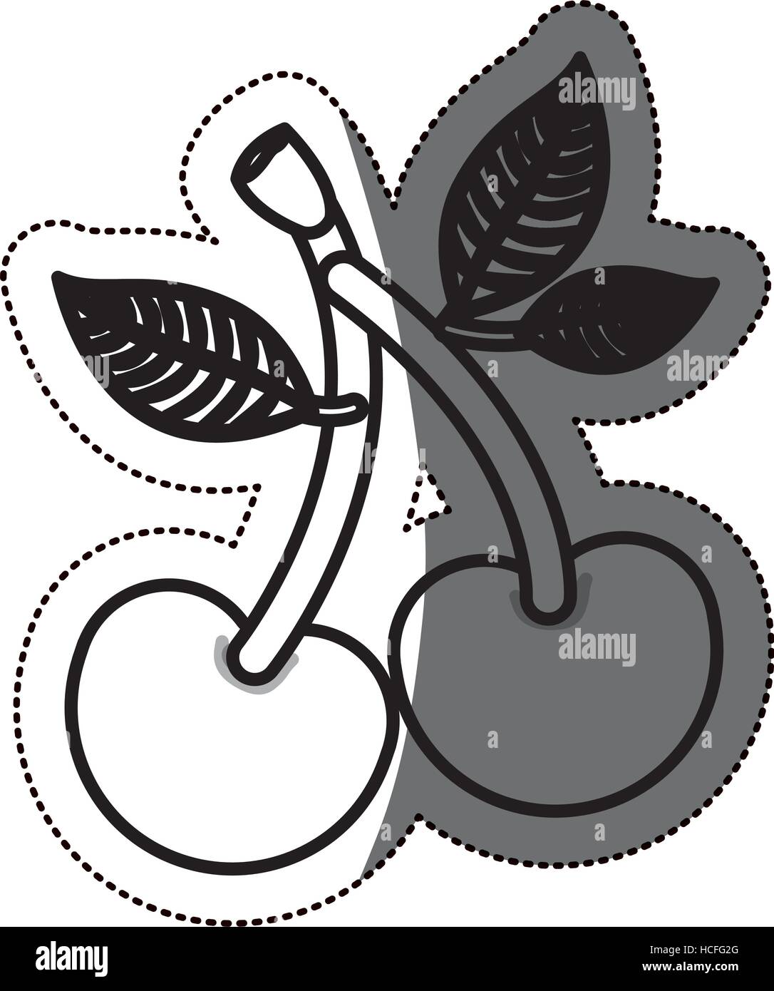 Isolated cherry fruit design Stock Vector Image & Art Alamy