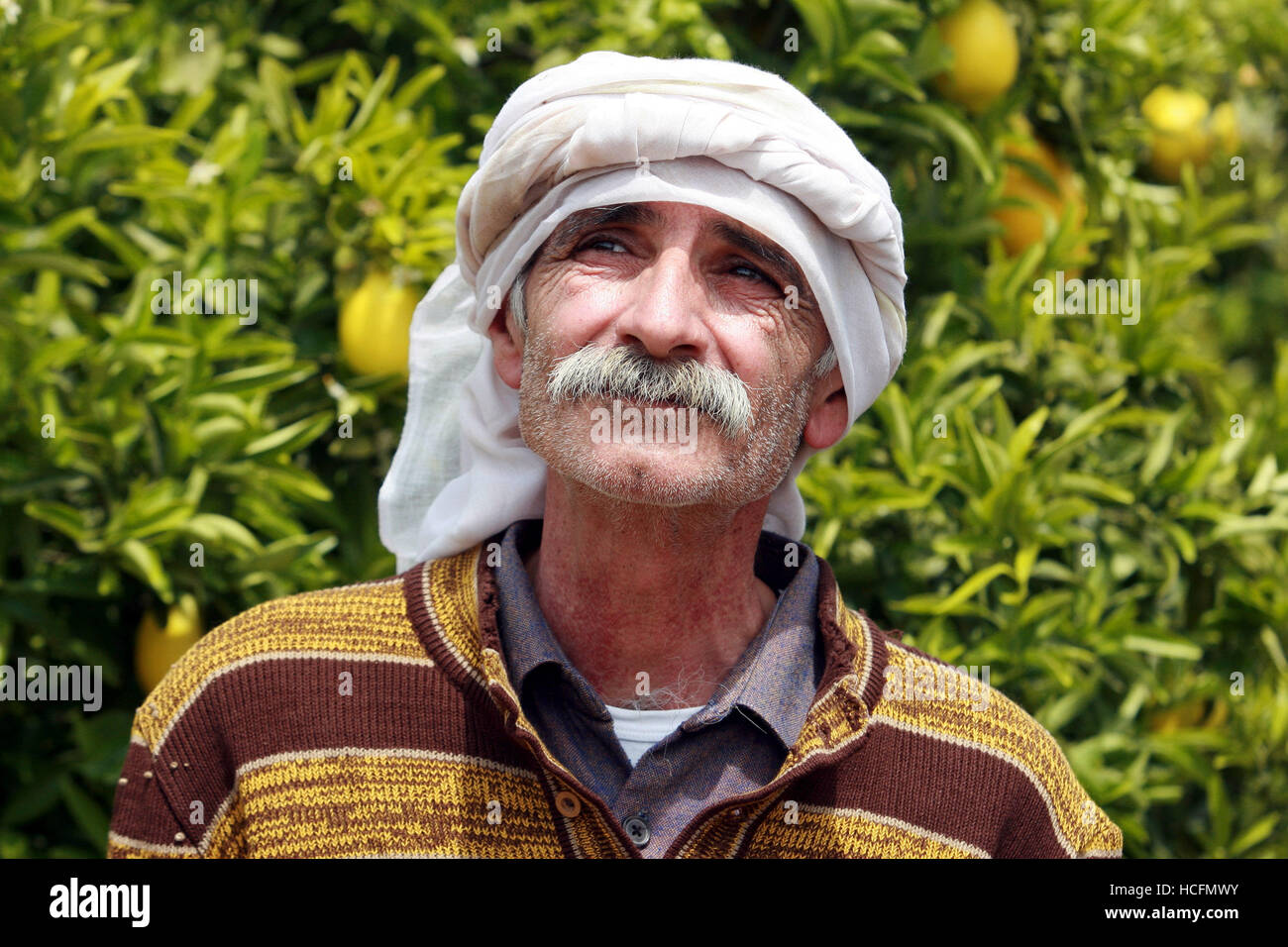 THE LEMON TREE, (aka ETZ LIMON), Tarik Kopty, 2008. ©IFC Films/Courtesy ...