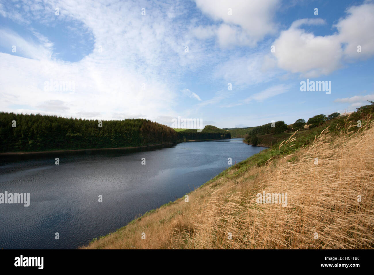 Thruscross Reservoir in Summer, Washburn Valley, North Yorkshire Dales Stock Photo