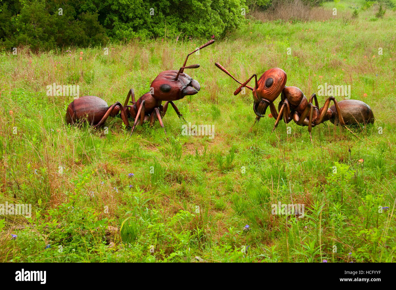Ants sculpture hi-res stock photography and images - Alamy