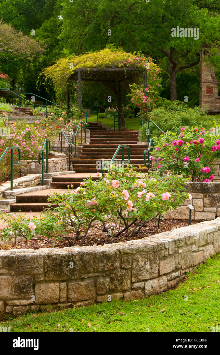 Rose Garden Zilker Botanical Garden Austin Texas Stock Photo