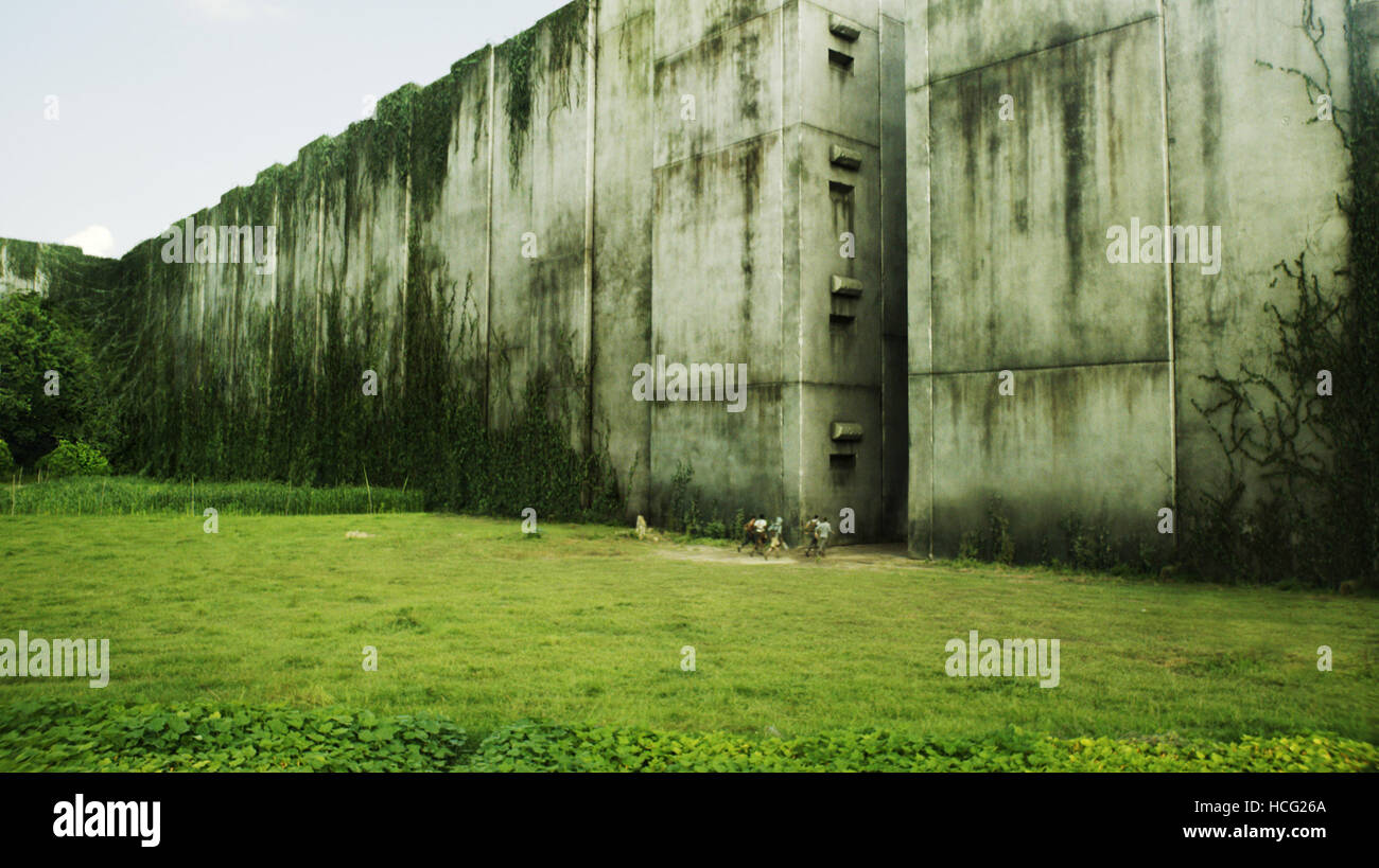 THE MAZE RUNNER, 2014. ph: Ben Rothstein/TM and ©Copyright 20th Century ...