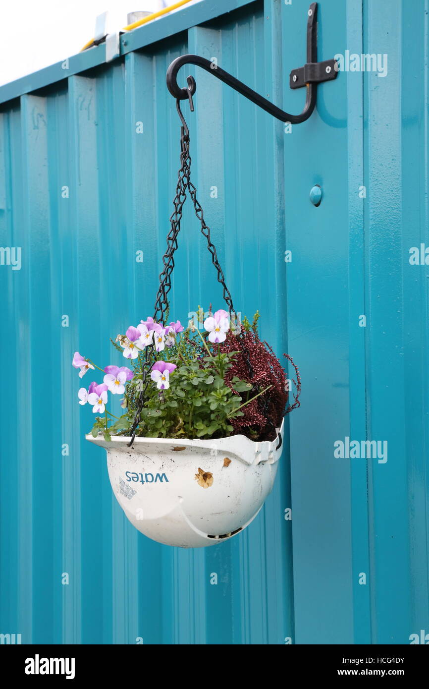 An old builders hard hat converted into a hanging basket to decorate the hoarding around a Wates construction site Stock Photo