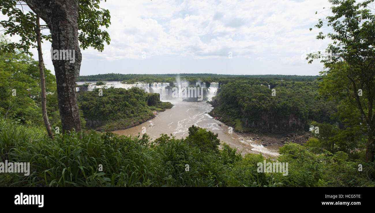 Iguazu: the green rainforest and panoramic view of the spectacular Iguazu Falls, one of the most important tourist attractions of Latin America Stock Photo