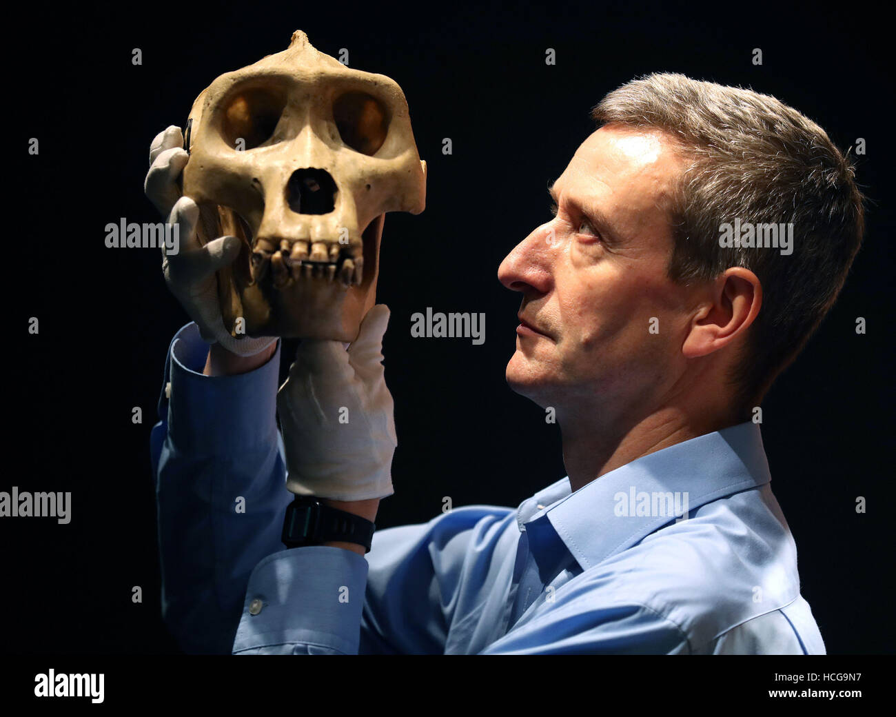 Dr Andrew Kitchener, Principal Curator of Vertebrates, holds a gorilla skull during a press preview for the National Museum of Scotland's Monkey Business exhibition. Stock Photo