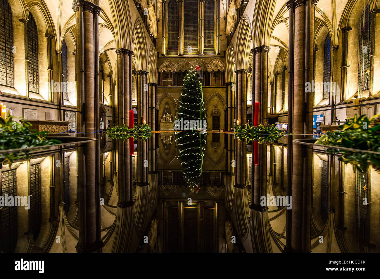 Ecclesiastical carpenter Richard Pike adds 1,000 fairy lights to the 30 foot Christmas tree inside Salisbury Cathedral, where the Norway Spruce has been delivered from Cranborne Estate, Dorset, in time for the many Christmas services over the festive period. Stock Photo