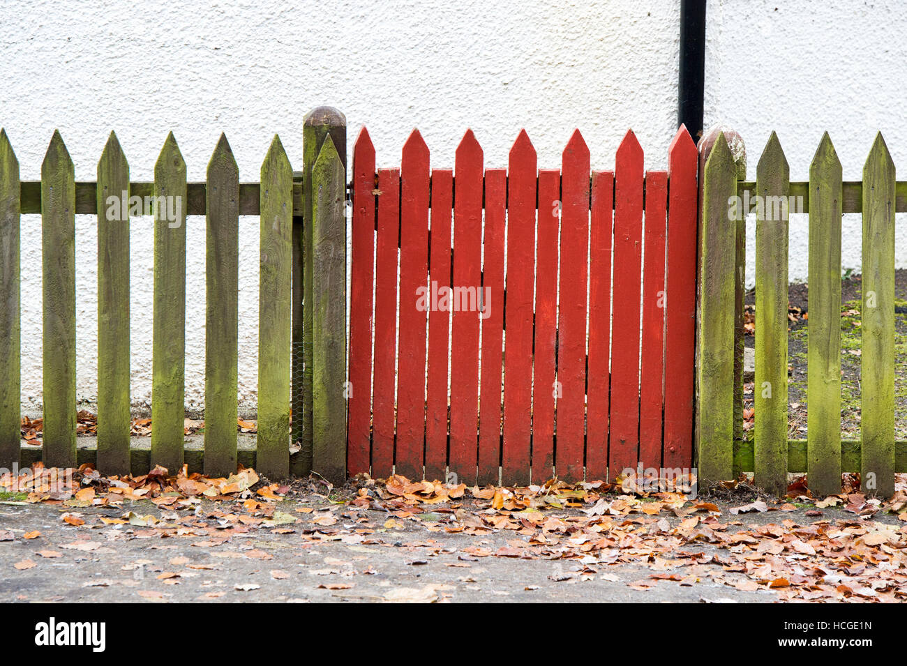 Red wooden gate and green fence. Scotland Stock Photo